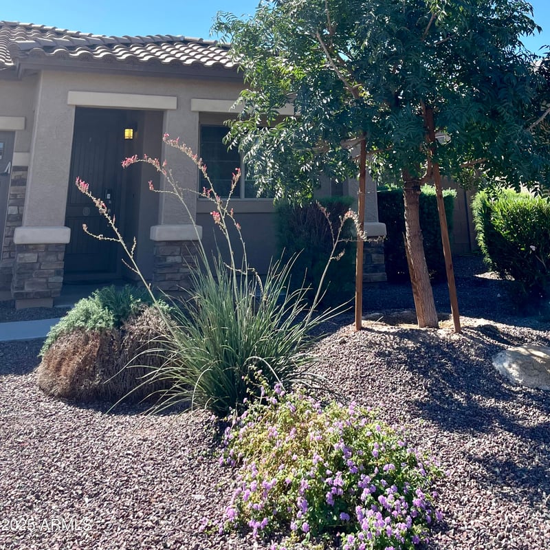 17123 Orchid Ln, Waddell, AZ 85355