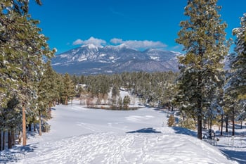 1713 Solitude Ct, Flagstaff, AZ 86005