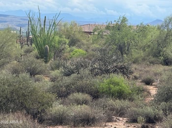 172 Street St #-, Rio Verde, AZ 85263