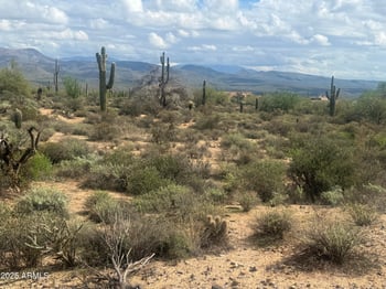 172 Street St #-, Rio Verde, AZ 85263