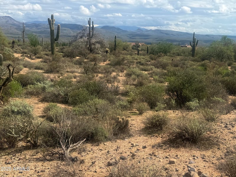 172 Street St #-, Rio Verde, AZ 85263