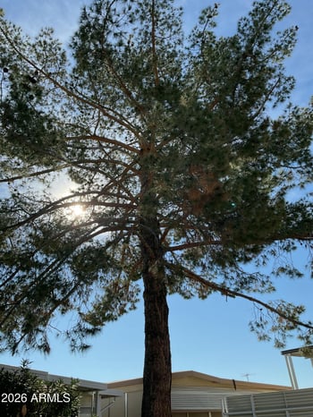 17200 Bell Rd #242, Surprise, AZ 85374