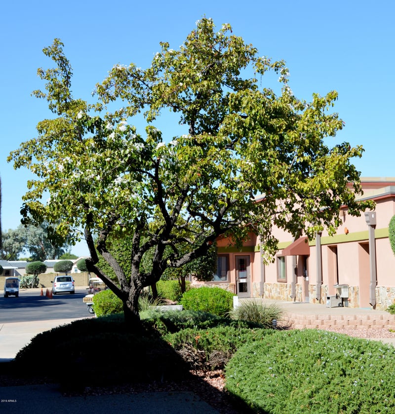 17200 W Bell Rd #1481, Surprise, AZ 85374