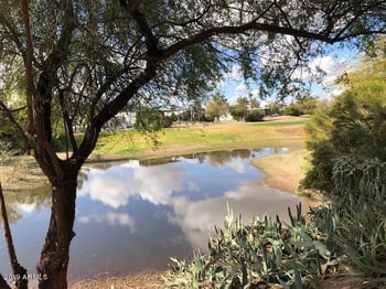 17200 W Bell Rd #1481, Surprise, AZ 85374