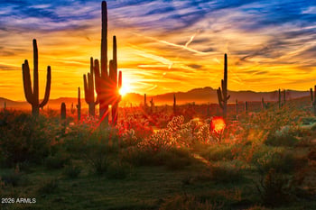 17200 W Bell Rd #2251, Surprise, AZ 85374