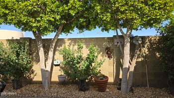 17200 W Bell Rd #2319, Surprise, AZ 85374