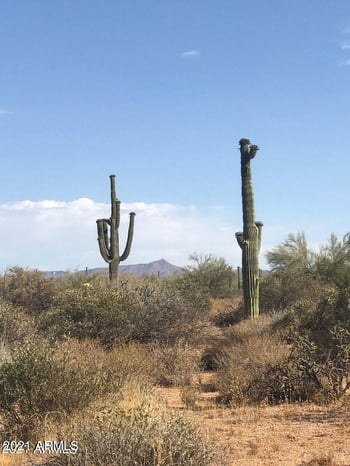 17201 E Lone Mountain Rd E #000, Rio Verde, AZ 85263