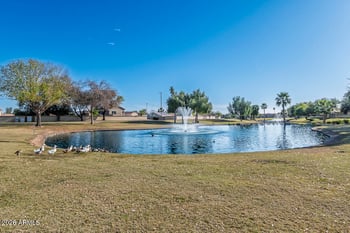 17218 Melissa Ln, Surprise, AZ 85374