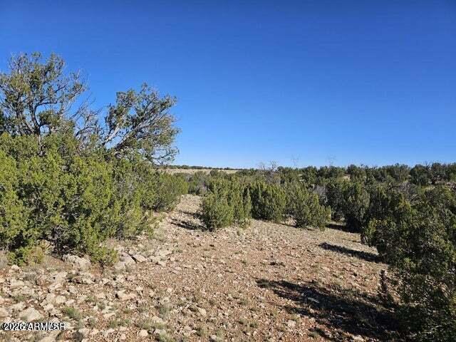 1725 Mcallister Ave #' - ', Heber, AZ 85928