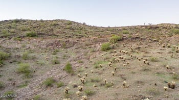 1726 Desert Willow Dr #7, Phoenix, AZ 85048