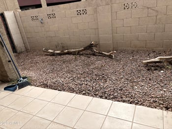 1730 W Emelita Ave #1006, Mesa, AZ 85202