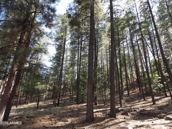 1734 Willow Mountain Rd, Happy Jack, AZ 86024