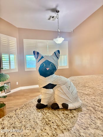 1735 E Bartlett Pl, Chandler, AZ 85249