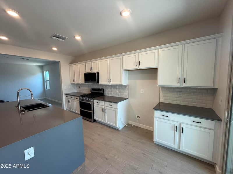 17381 Las Palmaritas Dr, Waddell, AZ 85355