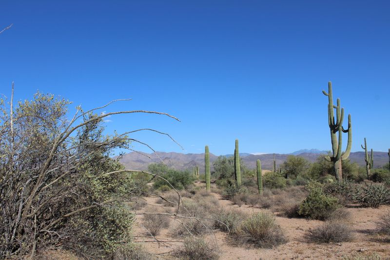 17400 E Lone Mountain Rd #-, Rio Verde, AZ 85263