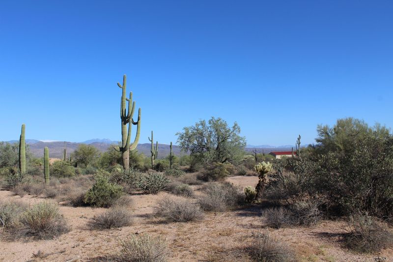 17400 E Lone Mountain Rd #-, Rio Verde, AZ 85263