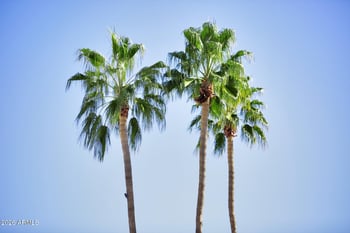 1741 Clearview Ave #54, Mesa, AZ 85209