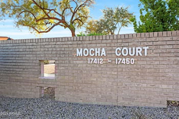 17426 102nd Dr, Sun City, AZ 85373