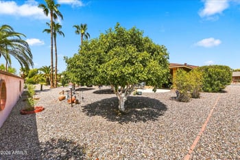 17426 N Calico Dr, Sun City, AZ 85373