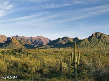 17441 Rock Wren Ct, Goodyear, AZ 85338