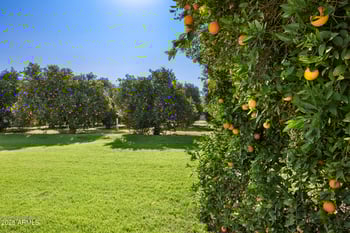 17525 Regal Dr, Queen Creek, AZ 85142