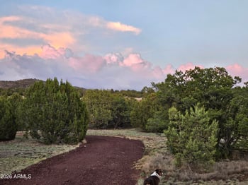 1760 Honeysuckle Rd #5, Williams, AZ 86046