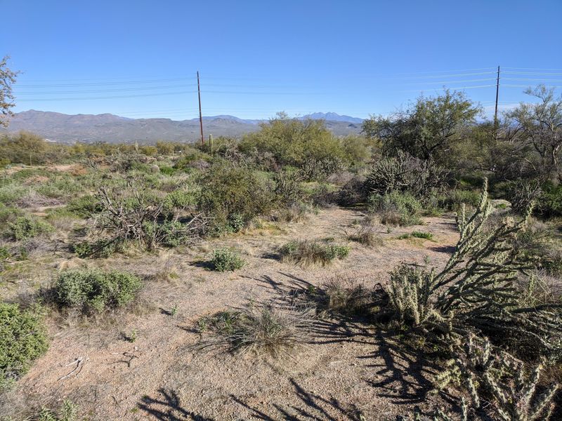 17600 E Whitethorn Dr, Rio Verde, AZ 85263