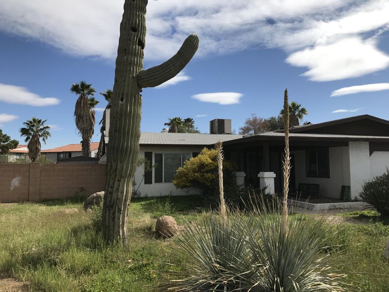 17601 N 18 Th Dr, Phoenix, AZ 85023