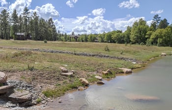 1761 Alder Leaf Ln, Show Low, AZ 85901