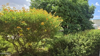 17633 Ocotillo Rd, Waddell, AZ 85355