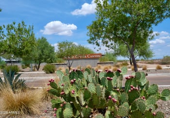 17639 W Country Club Ter, Surprise, AZ 85387