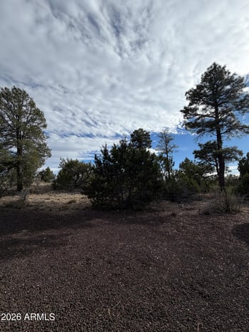 1769 Canyon Dr, Heber, AZ 85928