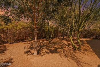 17805 Andora St, Surprise, AZ 85388
