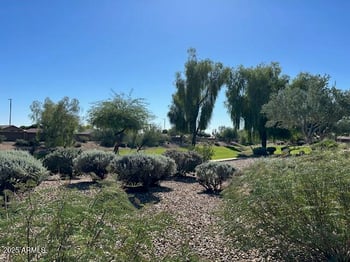 17807 Navarro Ct, Surprise, AZ 85374