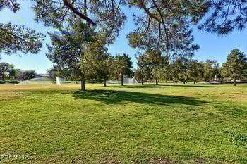 1792 Raven Dr, Chandler, AZ 85286