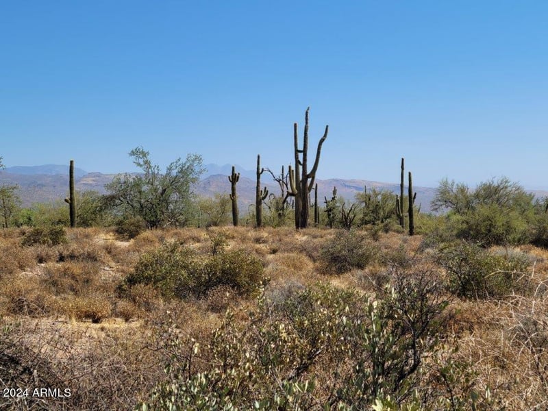 17XXX Gloria Ln #-, Rio Verde, AZ 85263