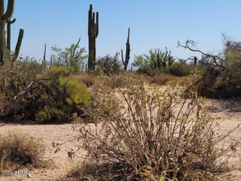 17XXX Gloria Ln #-, Rio Verde, AZ 85263