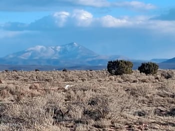 1801 Canby Dr #-, Williams, AZ 86046