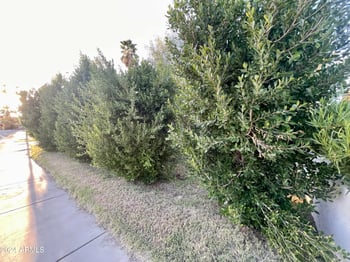 1802 E Missouri Ave, Phoenix, AZ 85016