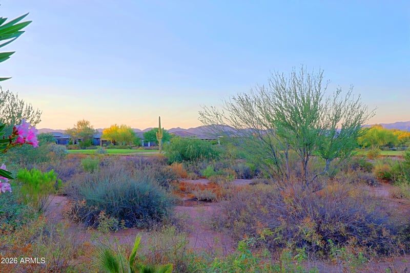 18022 E Vista Desierto --, Rio Verde, AZ 85263