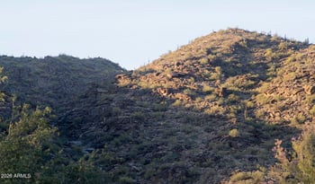 1810 Euclid Ave, Phoenix, AZ 85042