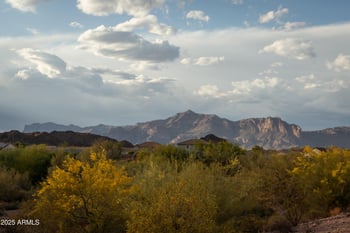 18102 El Viejo Desierto --, Gold Canyon, AZ 85118