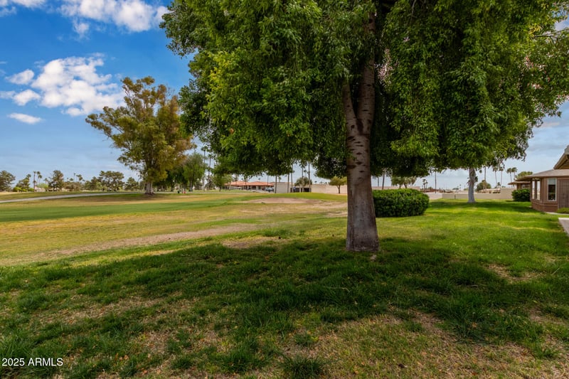 18211 Conestoga Dr, Sun City, AZ 85373
