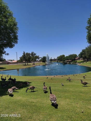 18221 Skyhawk Dr, Surprise, AZ 85374