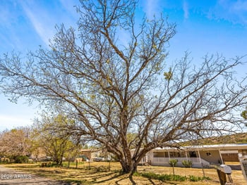 18267 John Fry Ave, Peeples Valley, AZ 86332