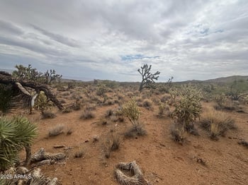 18290 Smoke Dr #220, Dolan Springs, AZ 86441