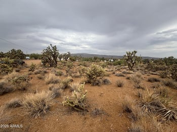 18290 Smoke Dr #220, Dolan Springs, AZ 86441