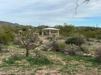 18308 El Amancer --, Gold Canyon, AZ 85118
