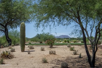 18328 E Spring Valley Ct, Rio Verde, AZ 85263