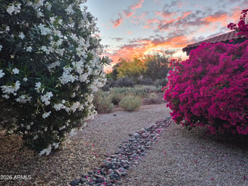 18409 Horseshoe Cir, Rio Verde, AZ 85263